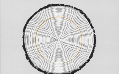 Un cuento de árboles – Los bosques y el mundo en el ‘legendarium’ de J.R.R. Tolkien